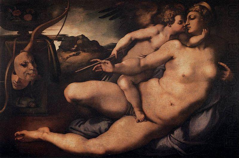 Jacopo Pontormo Venus and Cupid china oil painting image